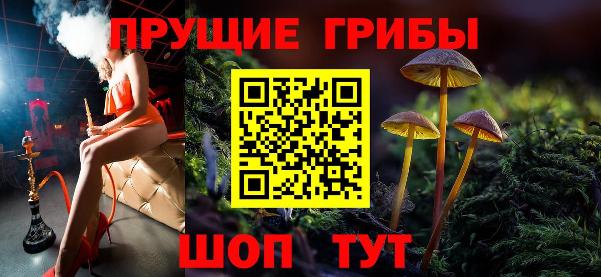 Ревда  Галлюциногенные грибы MAGIC MUSHROOMS  купить наркотик  Вход с VPN 